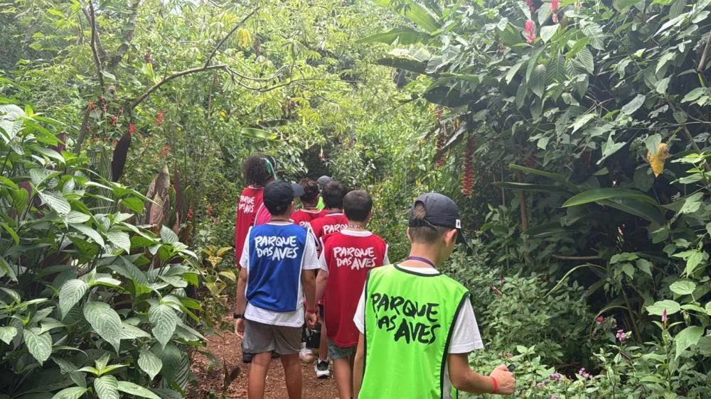 Parque das Aves abre experiência noturna inédita para crianças durante as férias de julho
