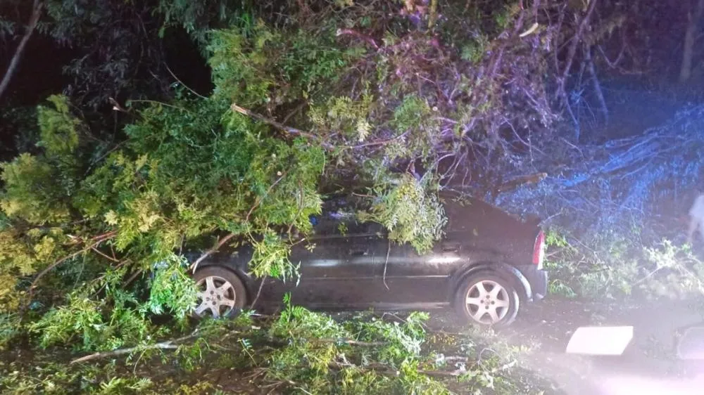 Defesa Civil mantém áreas de risco mapeadas e plano de contingência atualizado diante da previsão de chuvas acima da média associadas ao El Niño. Foto: Arquivo 